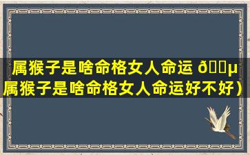 属猴子是啥命格女人命运 🐵 （属猴子是啥命格女人命运好不好）